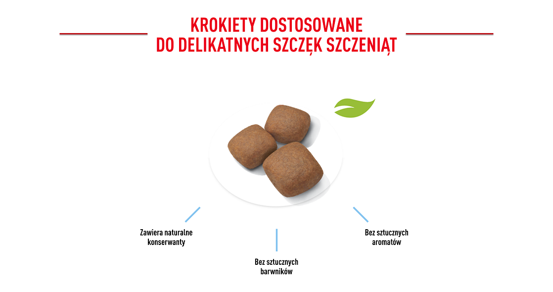 ROYAL CANIN Giant Junior 15 kg